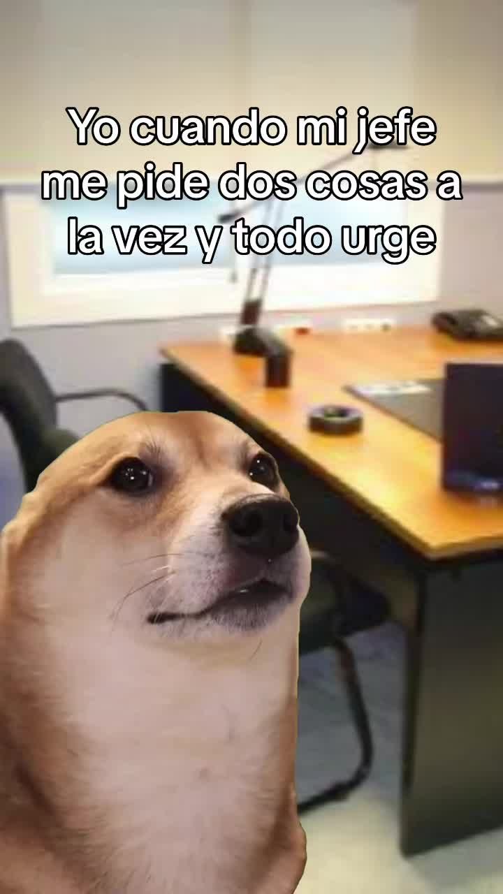 Post real de @forevergodinez en tiktok